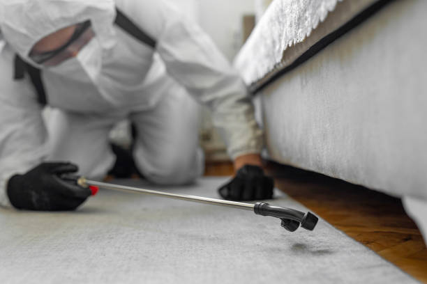 Professional Wasp Control technician working in Osceola Mills, PA