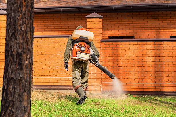 Trusted Bed Bug Control service in Osceola Mills, PA - Nex Pest Control